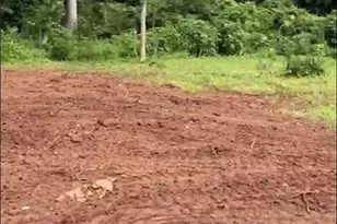 2047 Moody Dr SW, Atlanta, GA 30315 - Photo 1