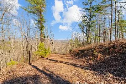 [Address not provided], Sugar Valley, GA 30746 - Photo 24