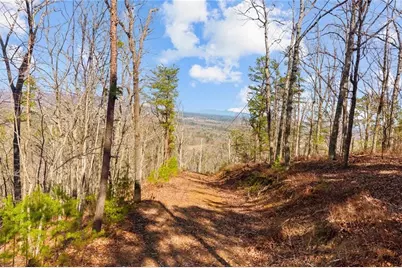 [Address not provided], Sugar Valley, GA 30746 - Photo 20