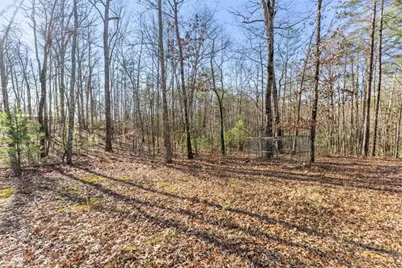 368 Harkins Road, Cleveland, GA 30528 - Photo 8