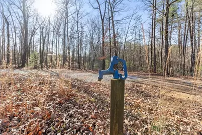 368 Harkins Road, Cleveland, GA 30528 - Photo 4