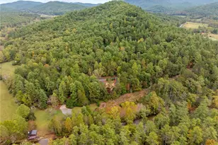 292 Silver Fox Trail, Blue Ridge, GA 30513 - Photo 58