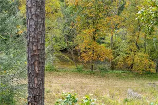 292 Silver Fox Trail, Blue Ridge, GA 30513 - Photo 52