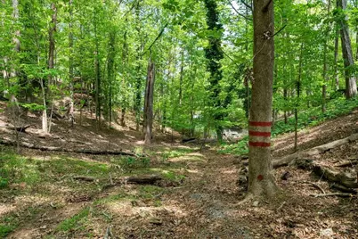 7400 Island Mill Road, Acworth, GA 30102 - Photo 12