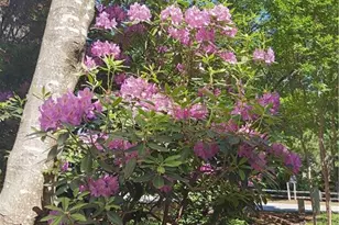 2572 Pembrooke Way, Lawrenceville, GA 30044 - Photo 36