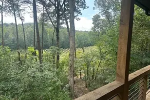 167 Meadow View Ct, Ellijay, GA 30536 - Photo 26