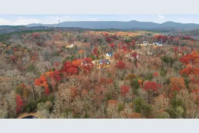 115 Brighton Road, Ball Ground, GA 30107 - Photo 56