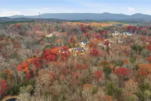 115 Brighton Rd, Ball Ground, GA 30107 - Photo 56