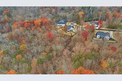 115 Brighton Road, Ball Ground, GA 30107 - Photo 54