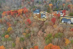 115 Brighton Rd, Ball Ground, GA 30107 - Photo 54