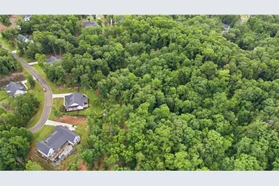 115 Brighton Road, Ball Ground, GA 30107 - Photo 42