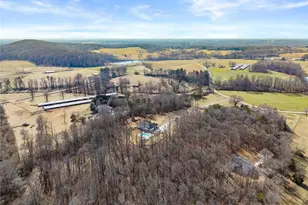 6998 Britt Gailey Rd, Clermont, GA 30527 - Photo 92