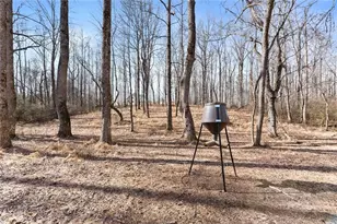 6998 Britt Gailey Rd, Clermont, GA 30527 - Photo 80