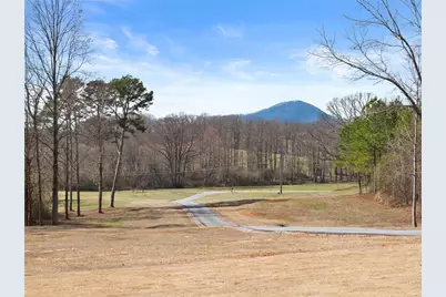 6998 Britt Gailey Road, Clermont, GA 30527 - Photo 84