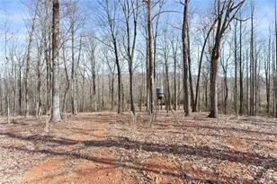 6998 Britt Gailey Rd, Clermont, GA 30527 - Photo 78