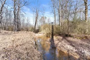 6998 Britt Gailey Rd, Clermont, GA 30527 - Photo 82