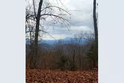 1235 Crown Court, Ranger, GA 30734 - Photo 4