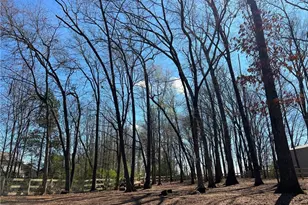 732 E Jefferson St, Hoschton, GA 30548 - Photo 26