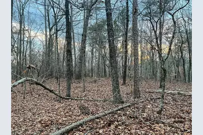 0Zz Kelly Bridge Road, Dawsonville, GA 30534 - Photo 10