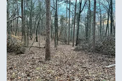 0Zz Kelly Bridge Road, Dawsonville, GA 30534 - Photo 8