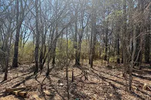 0 McDonough Pkwy, McDonough, GA 30253 - Photo 1