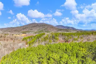 4179 Hwy 129 N, Cleveland, GA 30528 - Photo 42