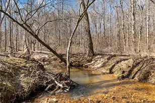 4179 Hwy 129 N, Cleveland, GA 30528 - Photo 78