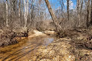 4179 Hwy 129 N, Cleveland, GA 30528 - Photo 72