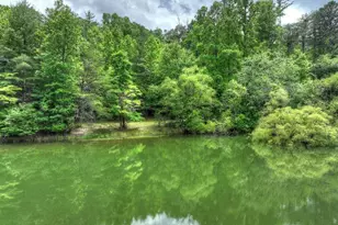 102 Captains Cove, Blairsville, GA 30512 - Photo 4