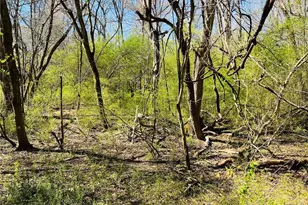 Lot 1 Crescent Dr, Newnan, GA 30265 - Photo 4