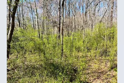 0 Crescent, Newnan, GA 30265 - Photo 6