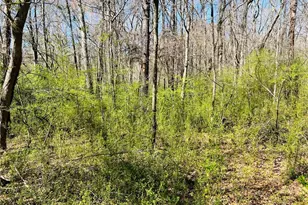 Lot 1 Crescent Dr, Newnan, GA 30265 - Photo 6