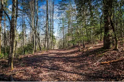 Trct B Captains Cove, Blairsville, GA 30512 - Photo 10