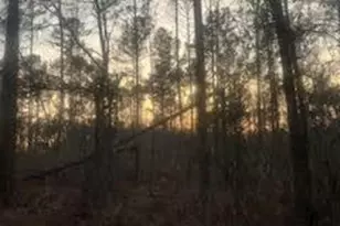 0 Shocley Rd, Monroe, GA 30656 - Photo 1