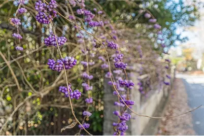 547 Elmwood Drive NE, Atlanta, GA 30306 - Photo 136