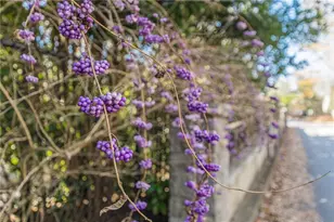 547 Elmwood Dr NE, Atlanta, GA 30306 - Photo 136