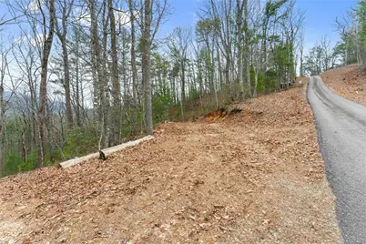 279 Cindy Cove Road, Blairsville, GA 30512 - Photo 46