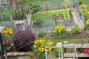 635 Cranberry Trail, Roswell, GA 30076 - Photo 40