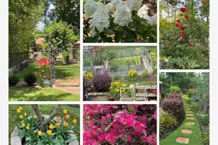 635 Cranberry Trail, Roswell, GA 30076 - Photo 40