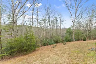 136 Gold Ditch Rd, Cleveland, GA 30528 - Photo 42