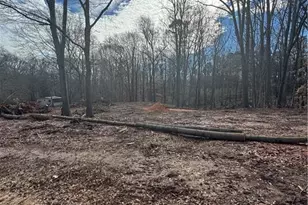 260 Roosevelt Cir, Bowman, GA 30624 - Photo 1