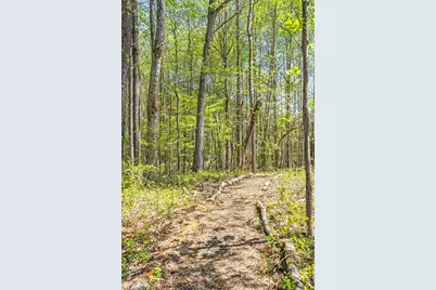 175 Cedarwood Lane, Roswell, GA 30075 - Photo 56
