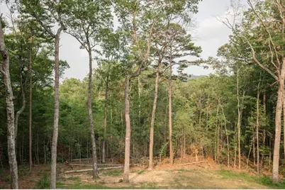 80 Harrison and Ada Road, Blue Ridge, GA 30513 - Photo 58