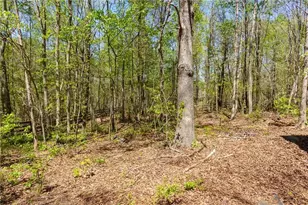 5940 Boulder Bluff Dr, Cumming, GA 30040 - Photo 58
