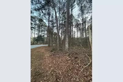 450 W Lake Drive, Oxford, GA 30054 - Photo 2