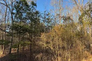 104 N Little River Run, Eatonton, GA 31024 - Photo 1