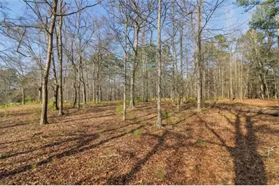 3180 NE Spring Lake Drive NE, Conyers, GA 30013 - Photo 46