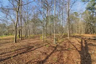 3180 NE Spring Lake Dr NE, Conyers, GA 30013 - Photo 46