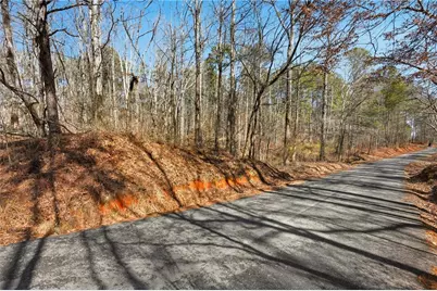 0 Pickett Bridge Road, Covington, GA 30016 - Photo 4