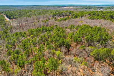 0 Pickett Bridge Road, Covington, GA 30016 - Photo 10